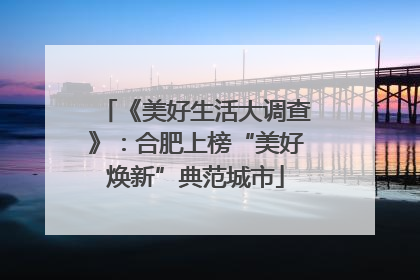 《美好生活大调查》：合肥上榜“美好焕新”典范城市