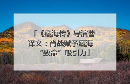 《藏海传》导演曹译文：肖战赋予藏海“致命”吸引力