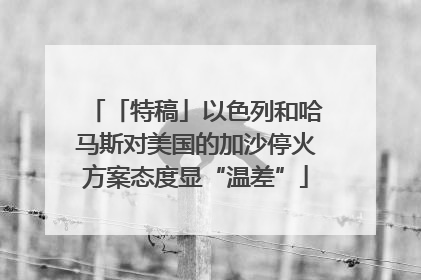 「特稿」以色列和哈马斯对美国的加沙停火方案态度显“温差”