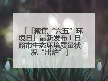 「聚焦“六五”环境日」最新发布！日照市生态环境质量状况“出炉”
