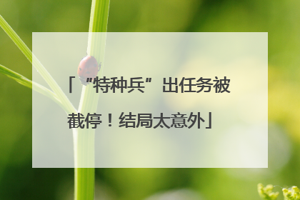 “特种兵”出任务被截停！结局太意外