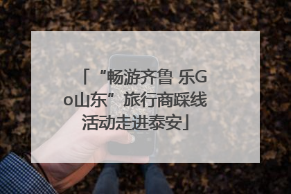 “畅游齐鲁 乐Go山东”旅行商踩线活动走进泰安