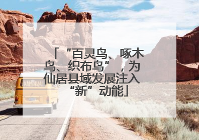 “百灵鸟、啄木鸟、织布鸟”，为仙居县域发展注入“新”动能