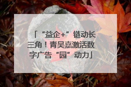 “益企+”链动长三角！青吴嘉激活数字广告“园”动力