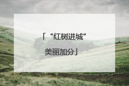 “红树进城” 美丽加分