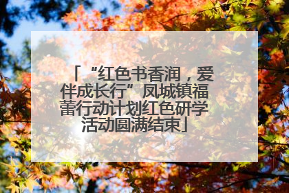 “红色书香润，爱伴成长行”凤城镇福蕾行动计划红色研学活动圆满结束