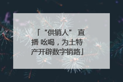 “供销人” 直播 吆喝，为土特产开辟数字销路