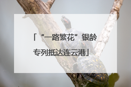“一路繁花”银龄专列抵达连云港