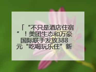 “不只是酒店住宿”！美团生态和万豪国际联手发放388元“吃喝玩乐住”新会员礼包