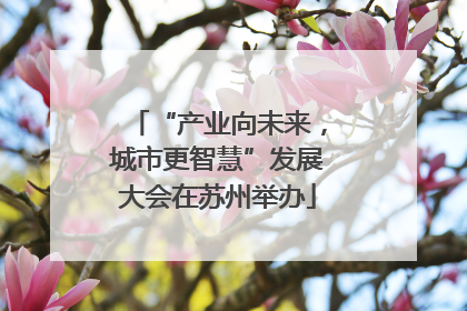 “产业向未来，城市更智慧”发展大会在苏州举办