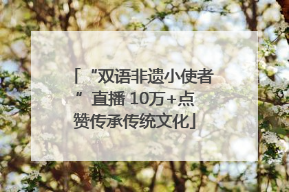 “双语非遗小使者”直播 10万+点赞传承传统文化