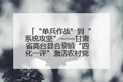 “单兵作战”到“系统攻坚”——甘肃省高台县合黎镇“四化一评”激活农村党员管理新引擎