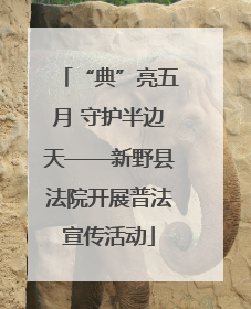 “典”亮五月 守护半边天——新野县法院开展普法宣传活动