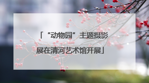“动物园”主题摄影展在清河艺术馆开展