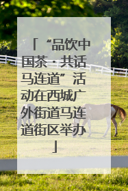 “品饮中国茶・共话马连道”活动在西城广外街道马连道街区举办