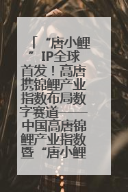 “唐小鲤”IP全球首发！高唐携锦鲤产业指数布局数字赛道——中国高唐锦鲤产业指数暨“唐小鲤”IP全球首发仪式在杭州举行