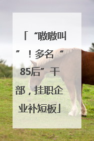 “嗷嗷叫”！多名“85后”干部，挂职企业补短板