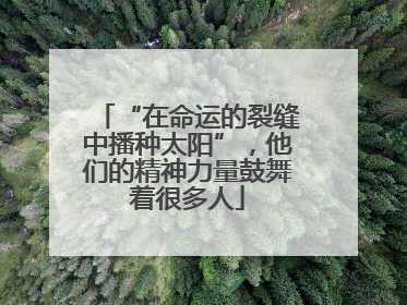 “在命运的裂缝中播种太阳”，他们的精神力量鼓舞着很多人