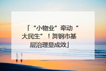 “小物业”牵动“大民生”！舞钢市基层治理显成效