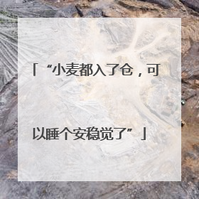 “小麦都入了仓，可以睡个安稳觉了”