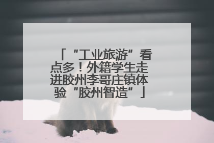 “工业旅游”看点多！外籍学生走进胶州李哥庄镇体验“胶州智造”