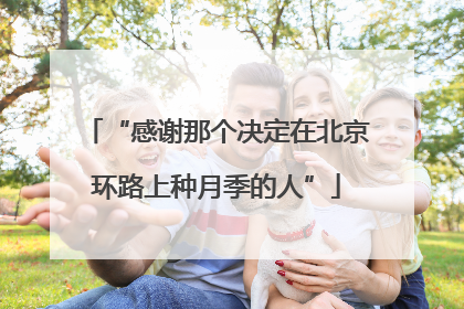 “感谢那个决定在北京环路上种月季的人”