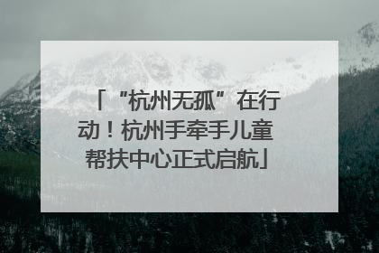 “杭州无孤”在行动！杭州手牵手儿童帮扶中心正式启航