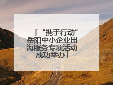 “携手行动”岳阳中小企业出海服务专项活动成功举办