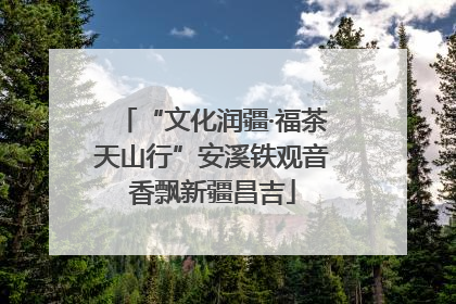 “文化润疆·福茶天山行”安溪铁观音香飘新疆昌吉