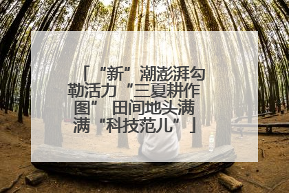 “新”潮澎湃勾勒活力“三夏耕作图” 田间地头满满“科技范儿”