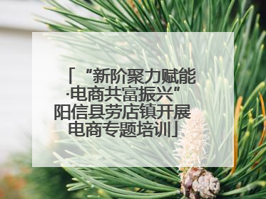 “新阶聚力赋能·电商共富振兴”阳信县劳店镇开展电商专题培训