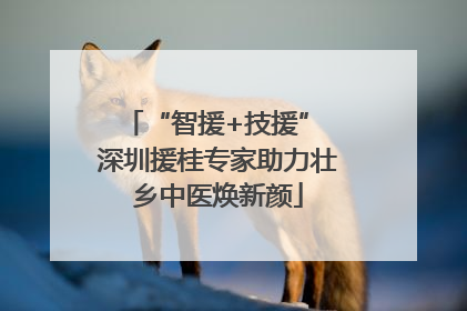 “智援+技援” 深圳援桂专家助力壮乡中医焕新颜