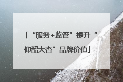 “服务+监管”提升“仰韶大杏”品牌价值