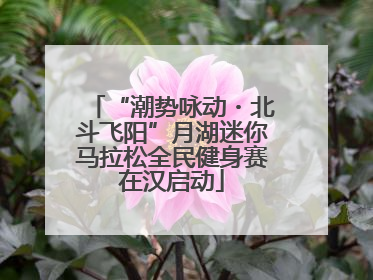 “潮势咏动・北斗飞阳”月湖迷你马拉松全民健身赛在汉启动