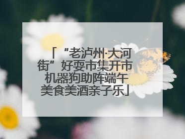 “老泸州·大河街”好耍市集开市 机器狗助阵端午美食美酒亲子乐