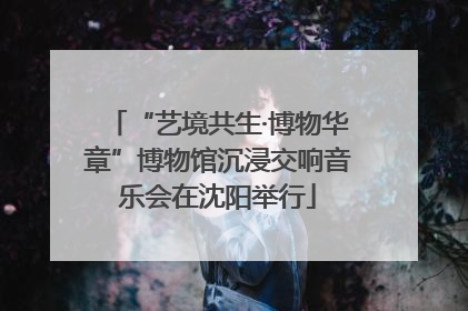 “艺境共生·博物华章”博物馆沉浸交响音乐会在沈阳举行