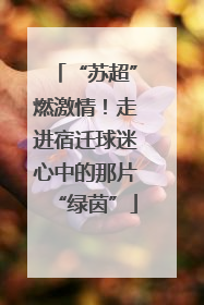 “苏超”燃激情！走进宿迁球迷心中的那片“绿茵”