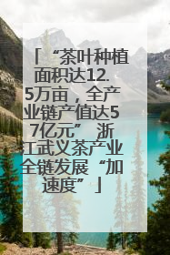 “茶叶种植面积达12.5万亩，全产业链产值达57亿元” 浙江武义茶产业全链发展“加速度”