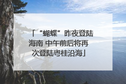 “蝴蝶”昨夜登陆海南 中午前后将再次登陆粤桂沿海