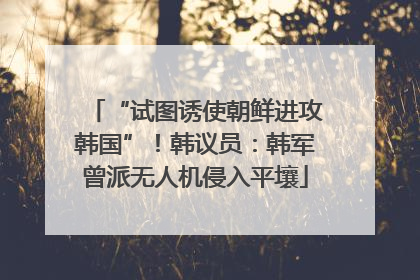 “试图诱使朝鲜进攻韩国”！韩议员：韩军曾派无人机侵入平壤