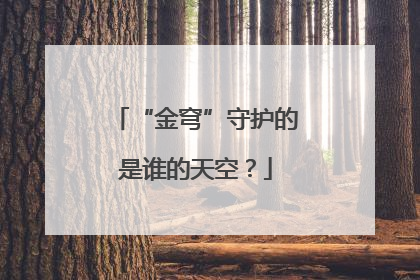 “金穹”守护的是谁的天空？
