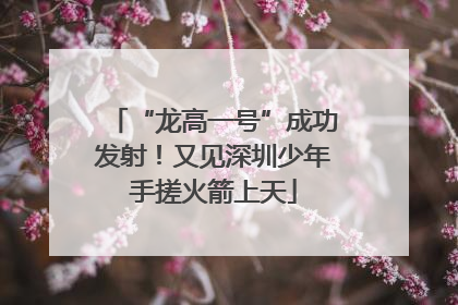 “龙高一号”成功发射！又见深圳少年手搓火箭上天
