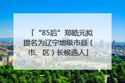“85后”郑皓元拟提名为辽宁地级市县（市、区）长候选人