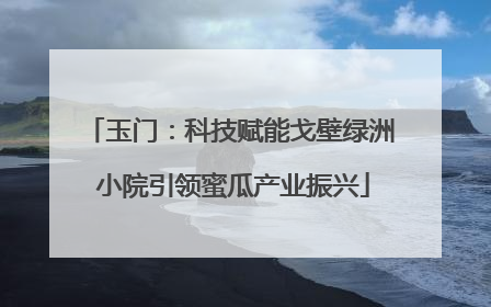 玉门：科技赋能戈壁绿洲 小院引领蜜瓜产业振兴