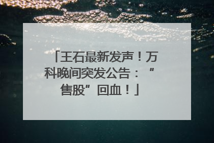 王石最新发声！万科晚间突发公告：“售股”回血！