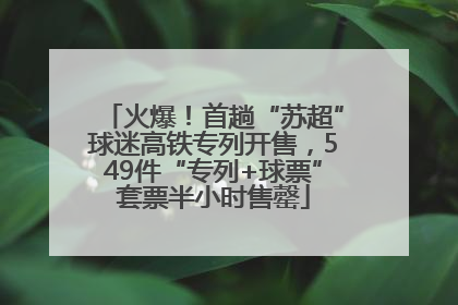 火爆！首趟“苏超”球迷高铁专列开售，549件“专列+球票”套票半小时售罄