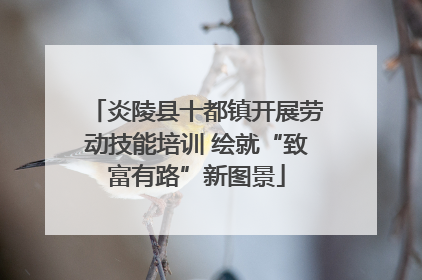 炎陵县十都镇开展劳动技能培训 绘就“致富有路”新图景