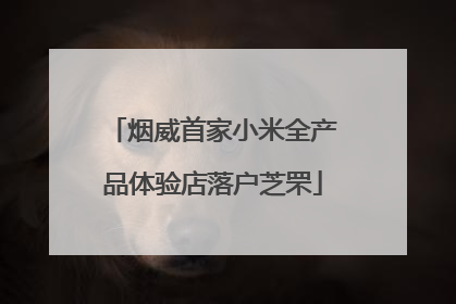 烟威首家小米全产品体验店落户芝罘