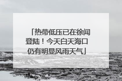 热带低压已在徐闻登陆！今天白天海口仍有明显风雨天气
