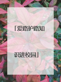 爱路护路知识进校园
